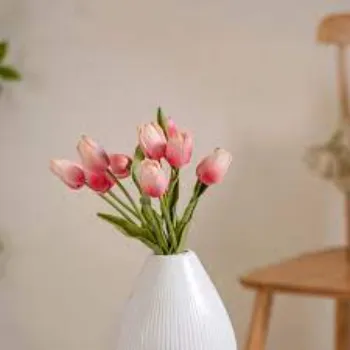 Tulip Flower